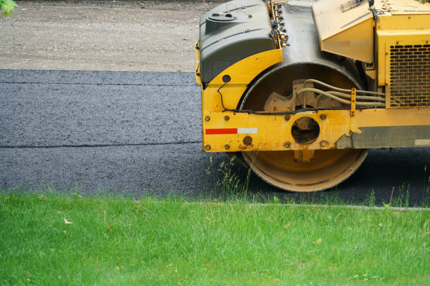 Best Driveway Pressure Washing  in Vassar, MI